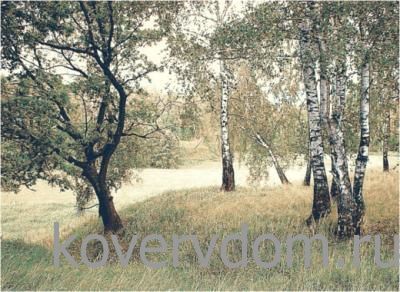 Ковер Сувенирный 50723 Ковер Сувенирный 50723